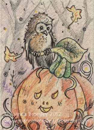 Pumpkin Owl by Joanna Bromley